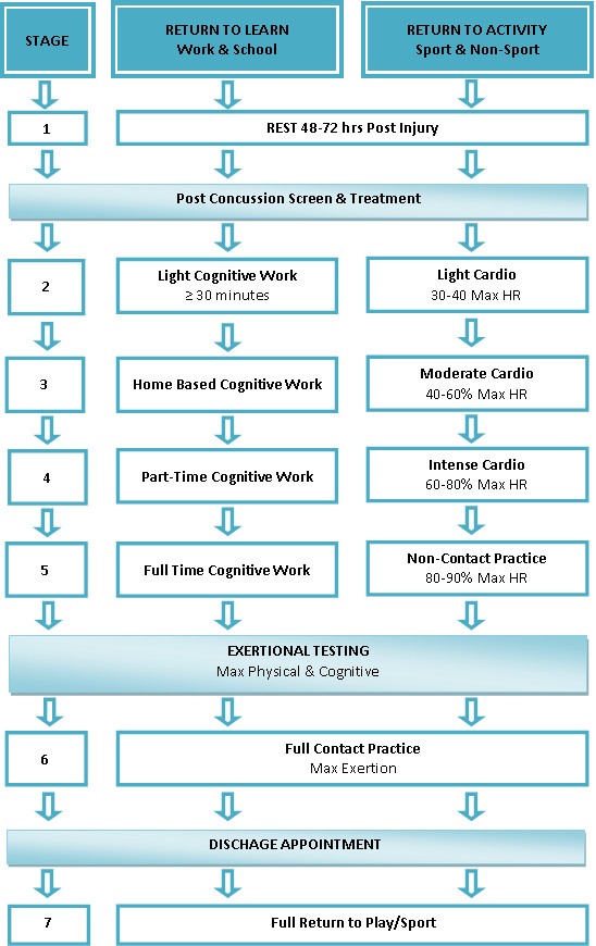 Concussion flow chart by Collegiate Sports Medicine